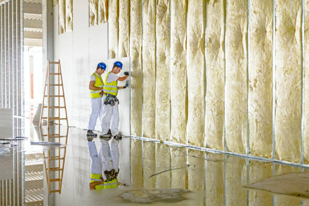 Best Insulation Removal  in Coatesville, PA